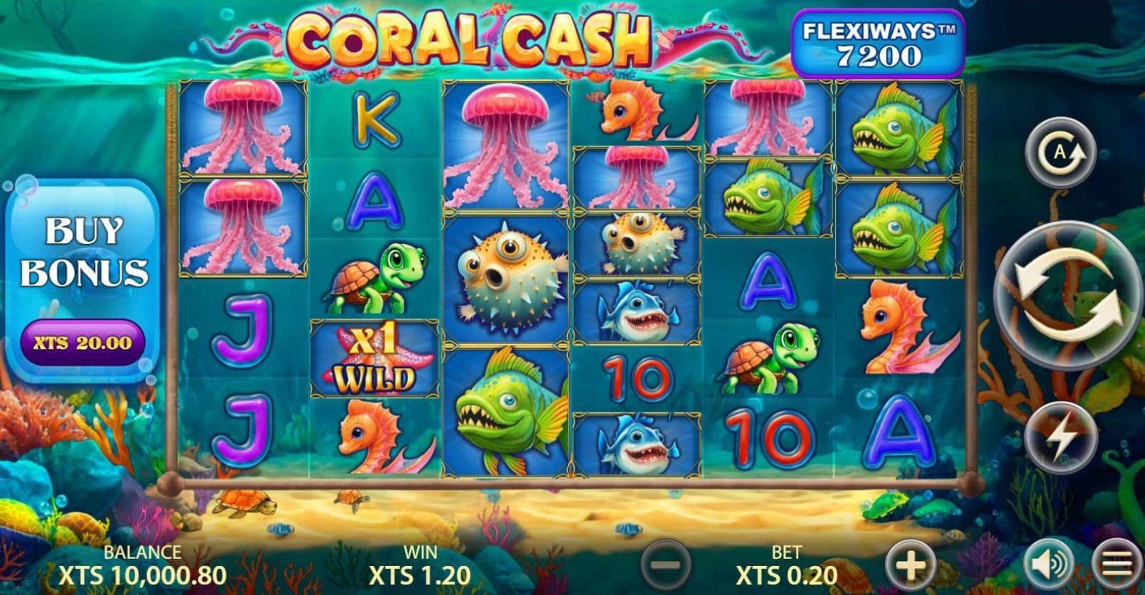 Coral Cash Flexiways