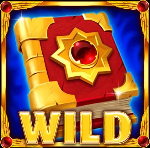 The Book – Wild & Scatter